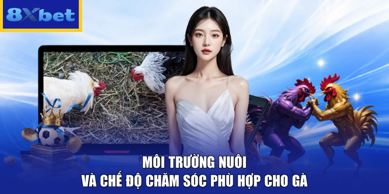 Môi trường nuôi và chế độ chăm sóc phù hợp cho gà